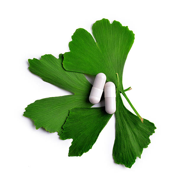 ginkgo biloba blätter mit kapseln - herbal medicine ginkgo herb capsule stock-fotos und bilder