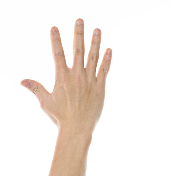 istock Close-up of man palm isolated on white background 610021084