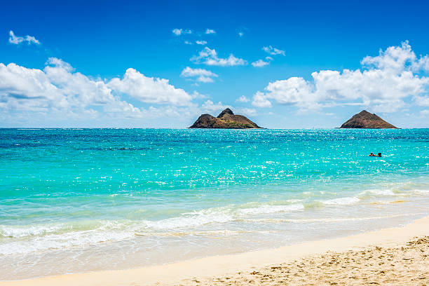 islas mokulua vistas desde la playa de lanikai en oahu, hawái - hawaii islands summer surfboard tropical climate fotografías e imágenes de stock