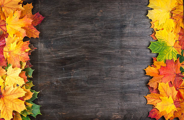 istock Colorful leaves on wood background. 610033382