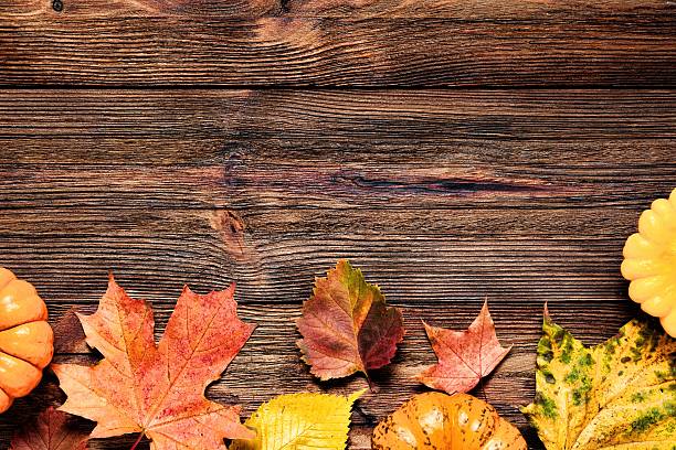 istock Fall background, autumn leaves and pumpkins 610033824