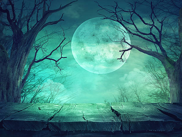 istock Spooky forest with full moon and wooden table 610034416