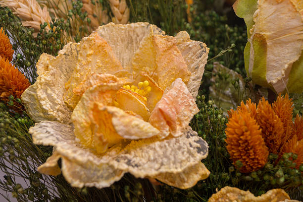 bouquet of dried flowers and poppies - rose rosé women valentines day imagens e fotografias de stock