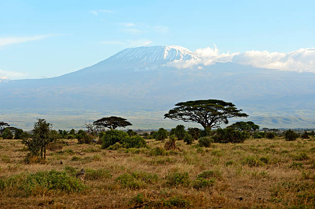 istock African savanna in Kenya 610034792