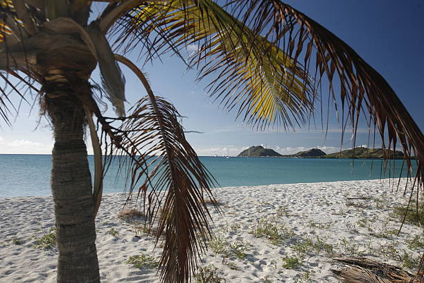 istock SOUTH AMERICA VENEZUELA LOS ROQUES ISLAND 610035320