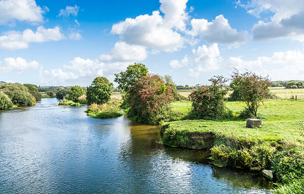 istock River Stour river bank detail in Dorset 610035382