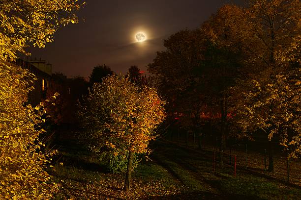istock Autumn, evening and the moon 610036388