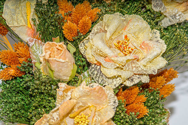 bouquet of dried flowers and poppies - rose rosé women valentines day imagens e fotografias de stock