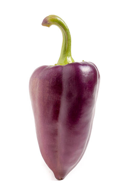 istock one purple peppers isolated on white background macro 610037076
