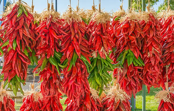 Freshly strung red and green chile ristras after the fall harvest in New Mexico, USA.