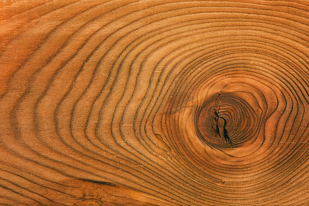 istock Background and texture of wood Larch 610038522