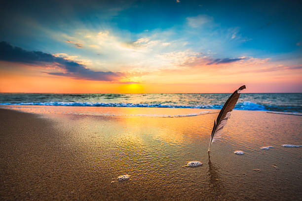 Beautiful sea sunrise and gull feather stuck into the sand