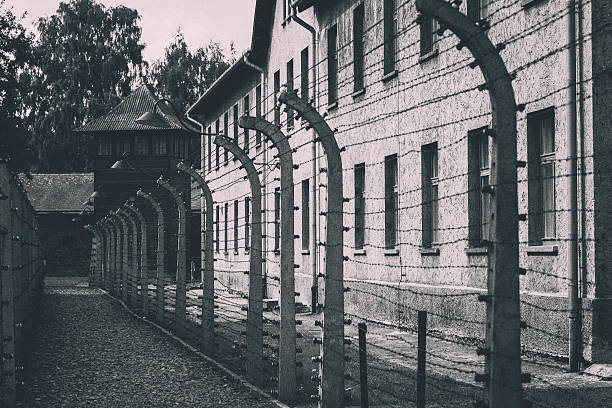 Barbed wire fence at Auschwitz Oswiecim, Poland - August 16, 2016: A barbed wire fence and in the background a guardtower, by one of the barracks where people were held imprisoned. The site is the original camp (Auschwitz I) of Auschwitz concentration camp, now Auschwitz-Birkenau State Museum. concentration camp photos stock pictures, royalty-free photos & images