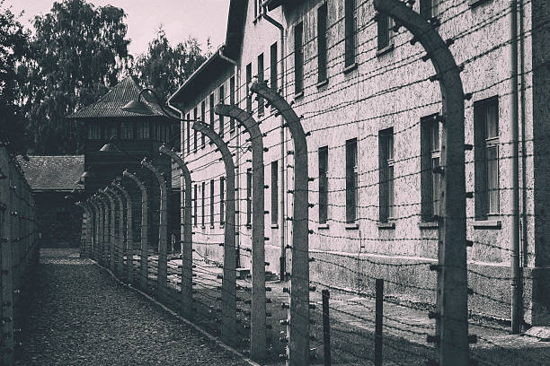 barbed wire fence at auschwitz - holocausto imagens e fotografias de stock