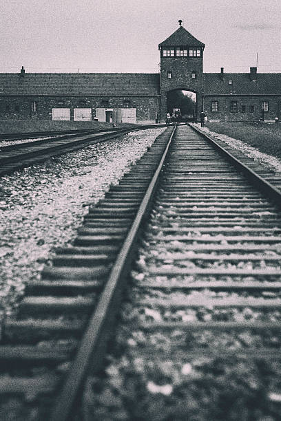 auschwitz-birkenau tracks - death camp imagens e fotografias de stock