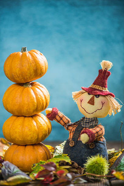 istock Funny scarecrow show pumpkins 610043508
