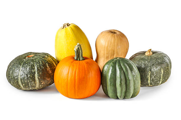 Assorted pumpkin and squash isolated on white Pumpkin, acorn squash, kabocha squash, spaghetti squash, butternut squash, and buttercup squash squash vegetable stock pictures, royalty-free photos & images