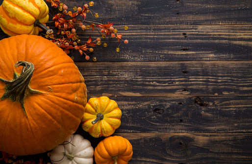 Assortment of pumpkins and gourds on a rustic black wood table with copy space.