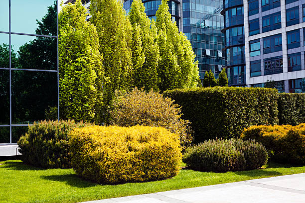 istock landscaping of the park 610047408
