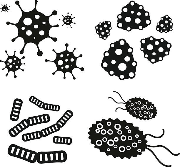 значок вектора вируса бактерий - cell plant cell human cell animal cell stock illustrations