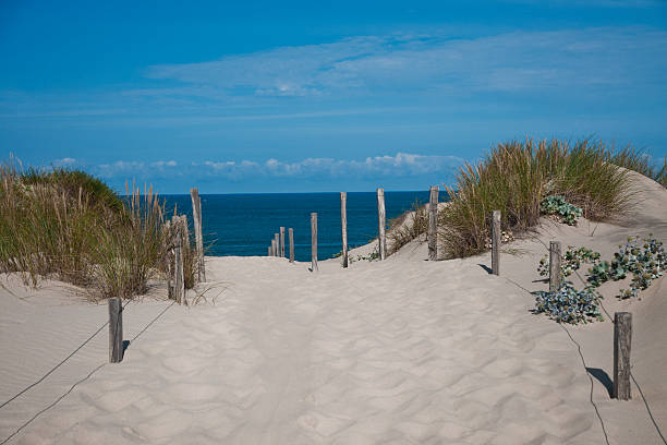 istock Sand dune in France 610049530