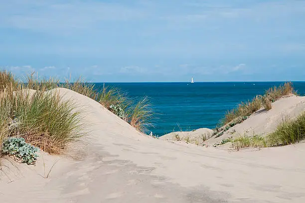Sand dune waterfront in Nouvelle-Aquitaine - France