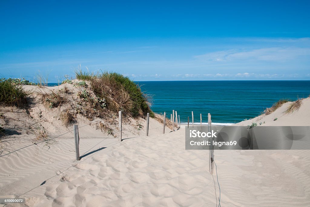 Sand dune in France Sand dune waterfront in Nouvelle-Aquitaine - France Landes Stock Photo
