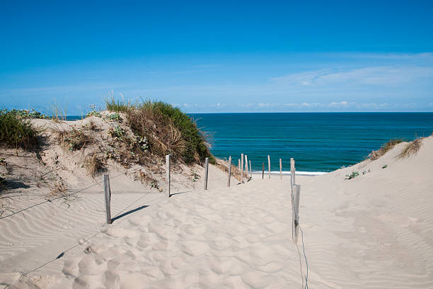 Sand dune in France Sand dune waterfront in Nouvelle-Aquitaine - France waist deep in water stock pictures, royalty-free photos & images