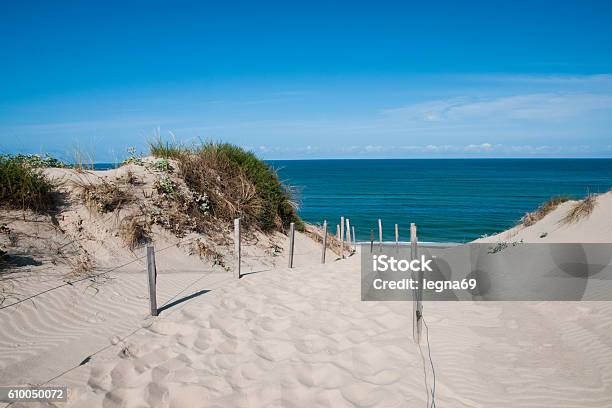 Sand Dune In France Stock Photo - Download Image Now - Landes, Beach, Brittany - France