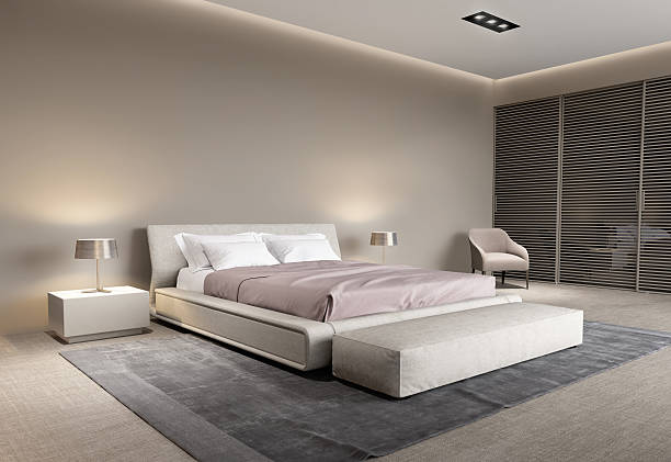 Contemporary beige bedroom with rug