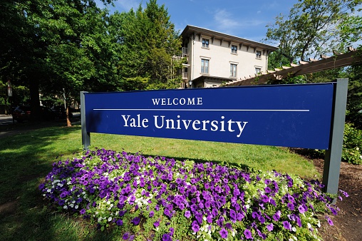 New Haven, Connecticut, USA - July 25, 2016: Welcome to Yale University sign located along Trumbull Street in New Haven, Connecticut.  Photograph taken with purple flowers blooming in the foreground