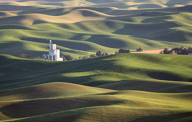 istock Palouse Farms 610114692