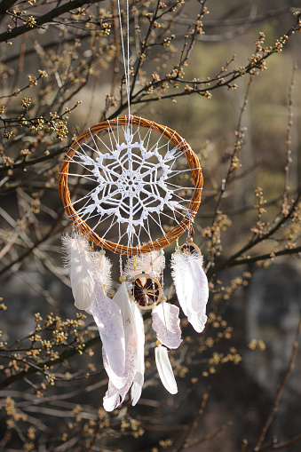 Handmade native american dream catcher on background of spring branch. Tribal elements, feathers, lace, crochet snowflake doily