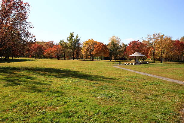 istock Park of autumn leaves 610116030