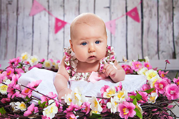 petite fille gisant dans un nid de fleurs roses - newborn little girls baby lying down photos et images de collection