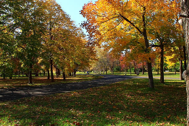 istock Park of autumn leaves 610116808