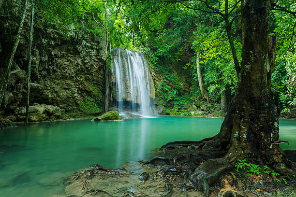 istock Beautiful green natue with green waterfall 610117006