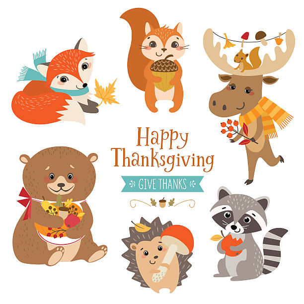 추수 감사절 귀여운 숲 동물 - white backgrounds thanksgiving pumpkin stock illustrations