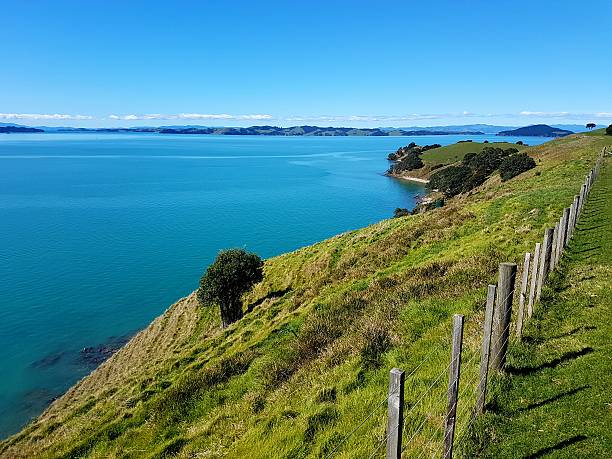 istock Sunny Day on Auckland Harbour 610118962