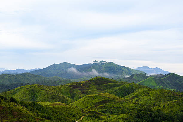 istock View point of 