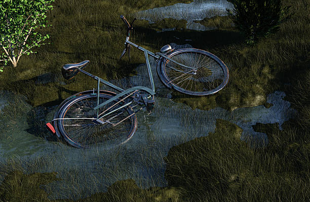 Cycle parked among lush grass foliage while cycling along the picturesque countryside with grasslands and streams in Goa, India