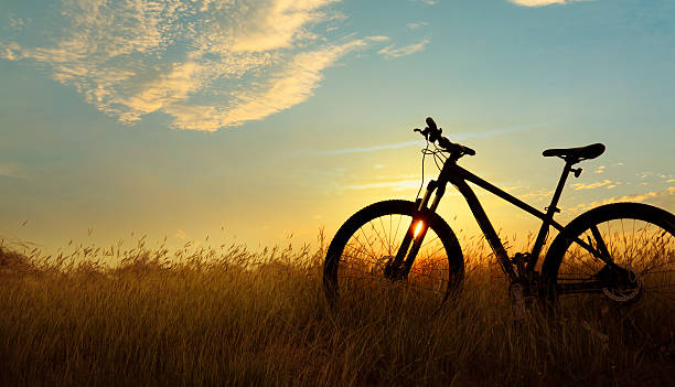 istock Silhouette Mountain biking, down hill at sunset 610123154