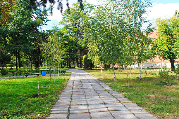 istock Beautiful autumn trees in city park 610123924