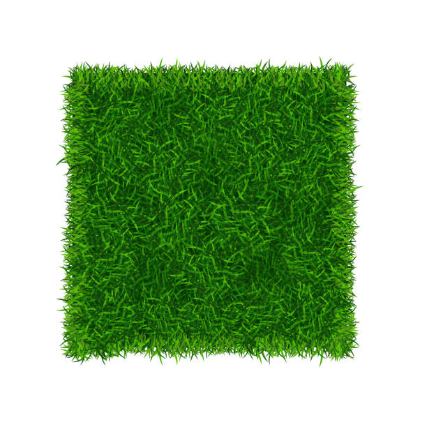 istock Green Grass Field Banner Football Place. Vector 610131740