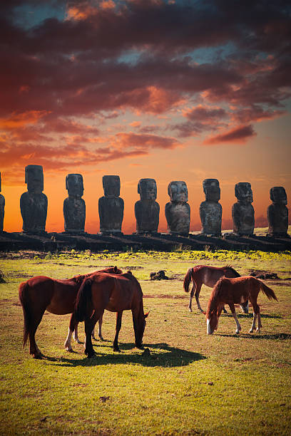 Horse on Easter Island Horse on Easter Island at sunset walk around statues easter island stock pictures, royalty-free photos & images
