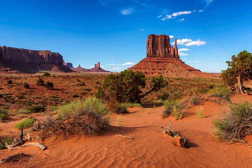 Monument Valley, on the Arizona - Utah border, gives us some of the most iconic and enduring images of the American Southwest.  The harsh empty desert is punctuated by many colorful sandstone rock formations.  It can be a photographer's dream to capture the ever-changing play of light on the buttes and mesas.  Even to the first-time visitor, Monument Valley will probably seem very familiar.  This rugged landscape has achieved fame in the movies, advertising and brochures.  It has been filmed and photographed countless times over the years.  If a movie producer was looking for a landscape that epitomizes the Old West, a better location could not be found.  This picture of Camel Butte was photographed from the Monument Valley Road north of Kayenta, Arizona, USA.