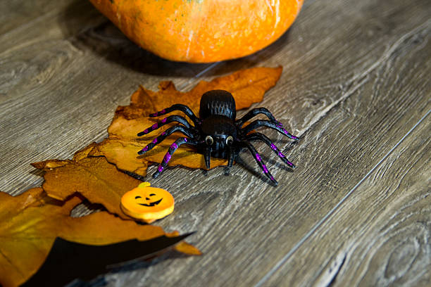 istock Halloween pumpkin head jack lantern on wooden background 610133982