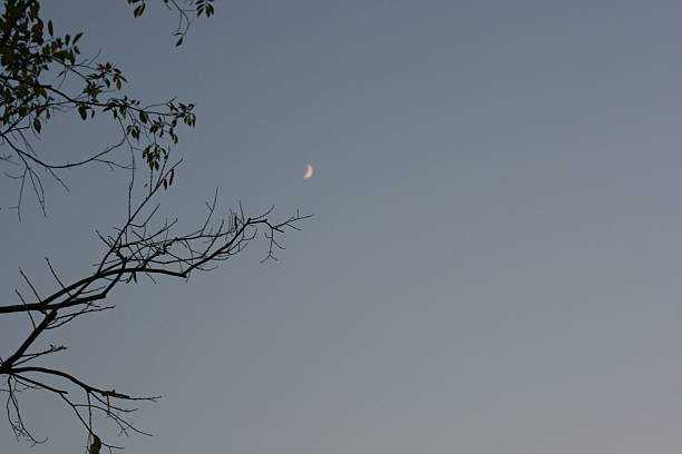 istock Atmosphere of crescent moon and fall 610135110