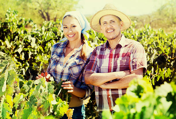istock Gardeners standing among grapes trees 610135226