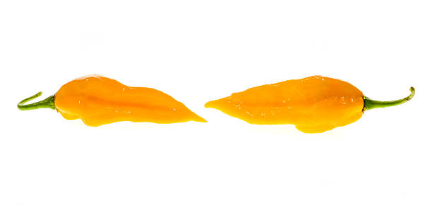 istock Two Ripe fresh fatalii yellow chili hot pepper 610135546